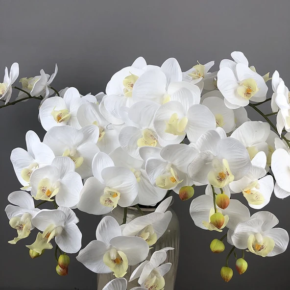Yapay 9 Başlıklı Film Phalaenopsis Orkide Çiçeği - Açık Mor - 11