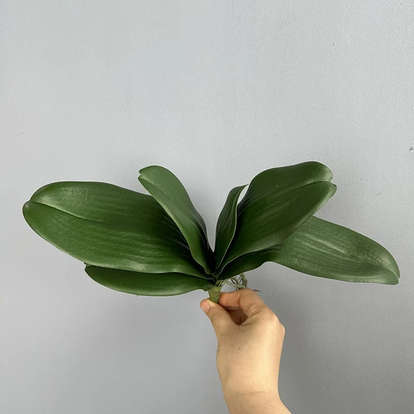 Yapay Büyük 6 Yapraklı Phalaenopsis Orkide Çiçeği