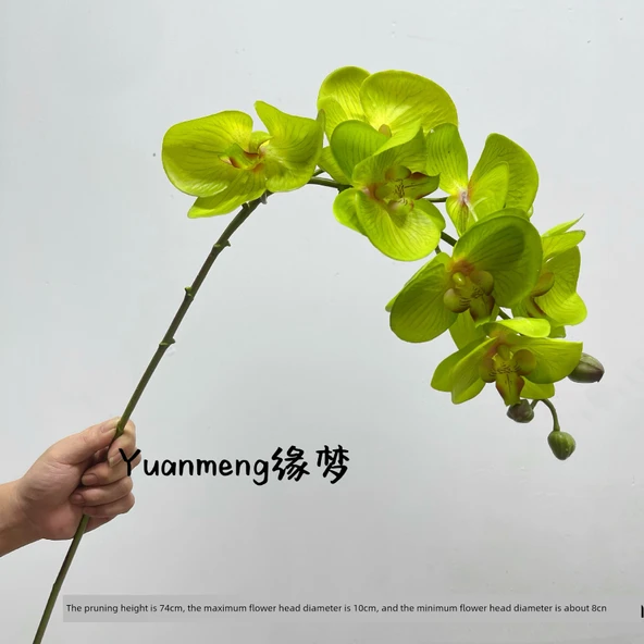 Yapay 7 Başlıklı Yumuşak Dokulu Phalaenopsis Orkide Çiçeği - Yeşil