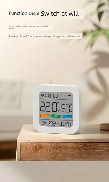 Dijital Termometre Higrometre - Temel Pil - Resim 12