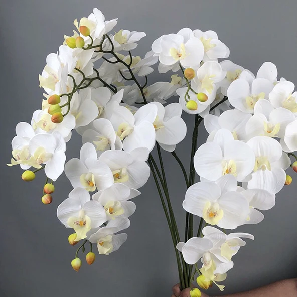 Yapay 9 Başlıklı Film Phalaenopsis Orkide Çiçeği - Açık Mor - 2