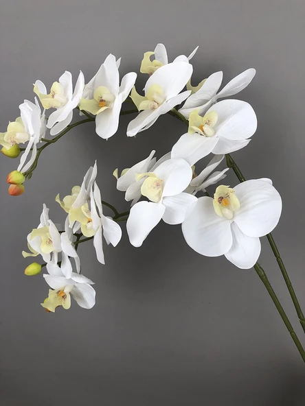 Yapay 9 Başlıklı Film Phalaenopsis Orkide Çiçeği - Açık Mor - 4