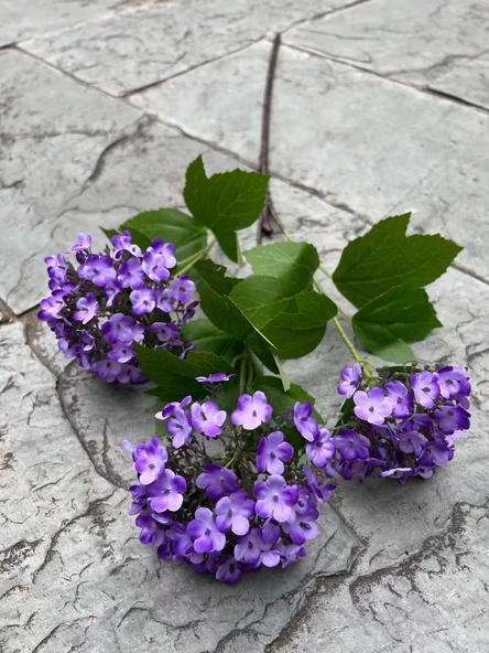 Yapay Viburnum Macrocephalum İpek Çiçek - Koyu Mor