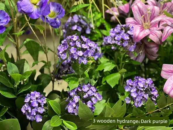 Yapay Viburnum Macrocephalum İpek Çiçek - Koyu Mor - 12