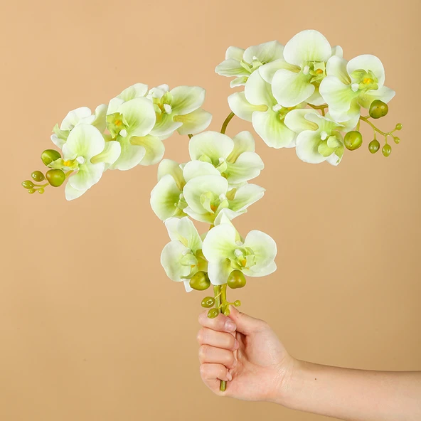 Yapay Phalaenopsis Orkide Aranjmanı - Yeşil 3 Dal 5 Başlı