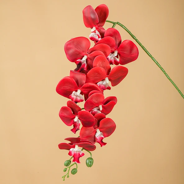 Yapay Phalaenopsis Orkide Aranjmanı - Koyu Kırmızı 1 Dal 9 Başlı