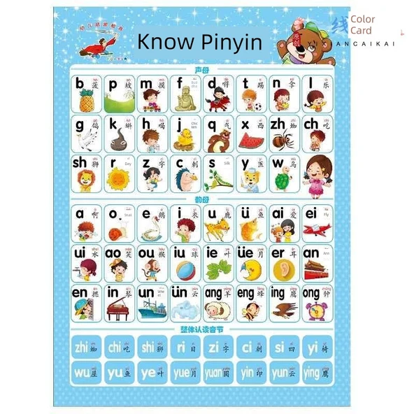 Eğitici Duvar Tablosu - Çince Pinyin
