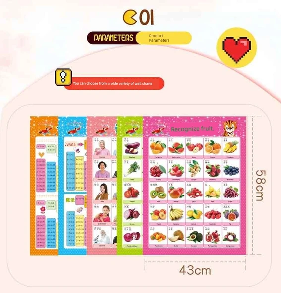 Eğitici Duvar Tablosu - Çince Pinyin - Resim 8