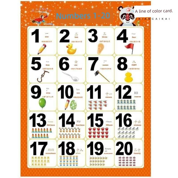 Eğitici Duvar Tablosu - Çince Pinyin - Resim 3