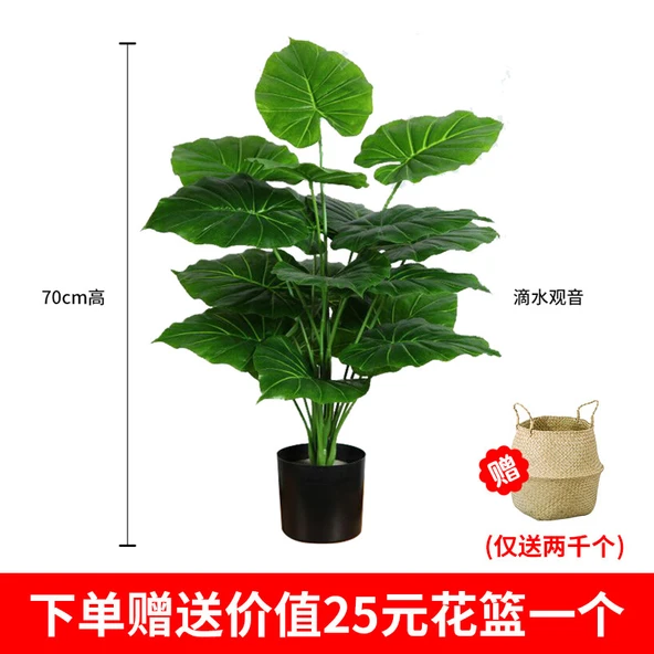 İskandinav Yapay Yeşil Bitki 70cm Araceae Çiçek Sepetli