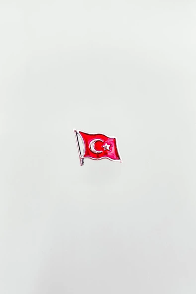 Türkiye Bayarğı Simgesi Gümüş Renkli Özel Tasarımlı Unisex Yaka Rozeti 1 Adet A300019