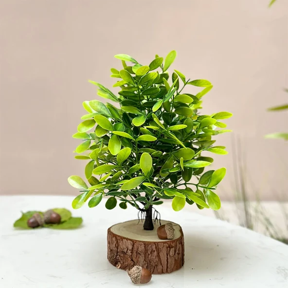 Yapay Yeşil Bonsai - Cui Yun Sihe-Dört Saksı + Küçük Ahşap Kazıklar + Küçük Meşe Palamudu - 9