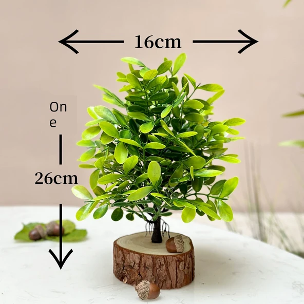 Yapay Yeşil Bonsai - Cui Yun Sihe-Dört Saksı + Küçük Ahşap Kazıklar + Küçük Meşe Palamudu - 11