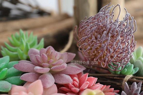 Saksıda Yapay Çöl Sukulent Bitki - Paragraf J - Resim 10