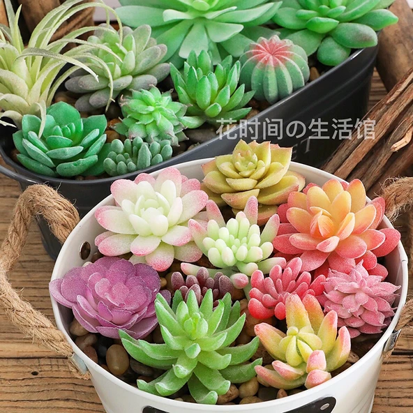 Saksıda Yapay Çöl Sukulent Bitki - Paragraf J - Resim 3