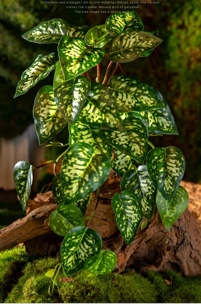 Yapay Asma Bitki Duvar Dekoru - Yoğun Orman Asılı Kaplumbağa Sırtı 50cm x 40cm - Resim 8