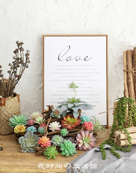 Saksıda Yapay Çöl Sukulent Bitki - Paragraf J - Resim 7