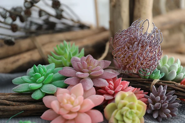 Saksıda Yapay Çöl Sukulent Bitki - Paragraf J - Resim 9