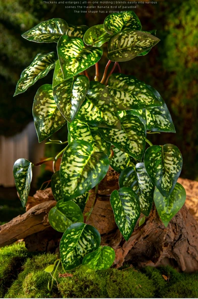 Yapay Yeşil Yapraklı Eğrelti Otu Bitkisi - 15 Yapraklı Siyah Saçlı Eğrelti Otu [yükseklik 70cm genişlik 70cm] - Resim 9