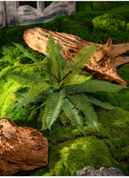 Yapay Yeşil Yapraklı Eğrelti Otu Bitkisi - 15 Yapraklı Siyah Saçlı Eğrelti Otu [yükseklik 70cm genişlik 70cm] - Resim 10