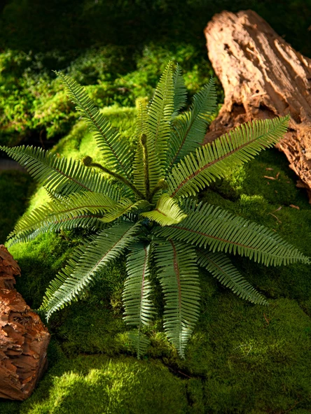 Yapay Yeşil Yapraklı Eğrelti Otu Bitkisi - 15 Yapraklı Siyah Saçlı Eğrelti Otu [yükseklik 70cm genişlik 70cm] - Resim 3