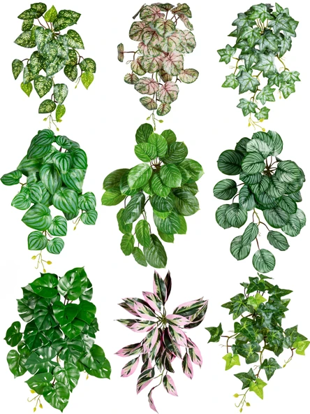 Yapay Asma Bitki Duvar Dekoru - Yoğun Orman Asılı Kaplumbağa Sırtı 50cm x 40cm - Resim 2