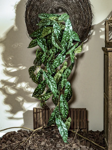 Yapay Asma Bitki Duvar Dekoru - Yoğun Orman Asılı Kaplumbağa Sırtı 50cm x 40cm - Resim 5