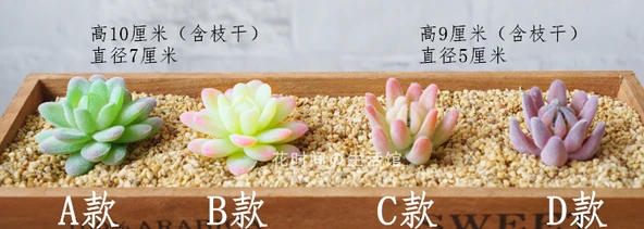 Saksıda Yapay Çöl Sukulent Bitki - Paragraf J - Resim 11