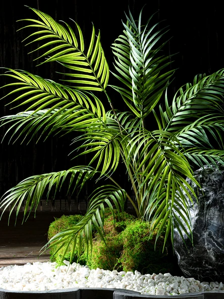 Yapay Yeşil Yapraklı Eğrelti Otu Bitkisi - 15 Yapraklı Siyah Saçlı Eğrelti Otu [yükseklik 70cm genişlik 70cm] - Resim 4