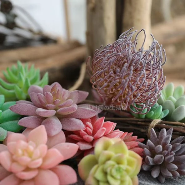 Saksıda Yapay Çöl Sukulent Bitki - Paragraf J - Resim 6