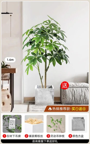 Yapay Pachira Macrocarpa 1.6 m Ruyi - Doğal Renk Kare Saksı