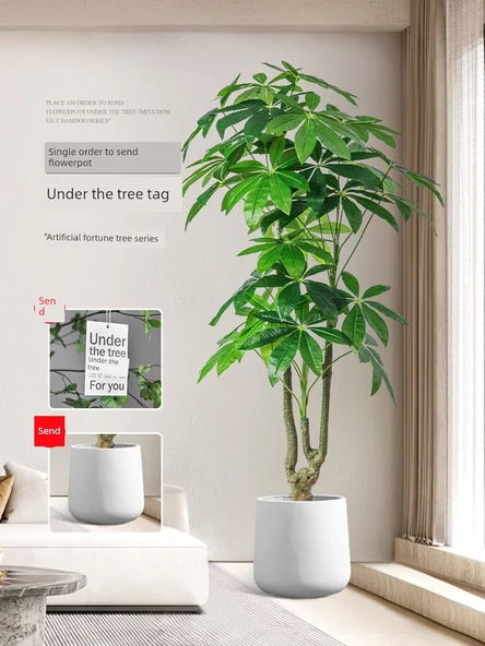 Yapay Pachira Macrocarpa 1.6 m Ruyi - İskandinav Sepet - 2