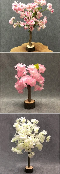Masaüstü Minyatür Kiraz Çiçeği Ağacı - Pembe 2'li Set - 8