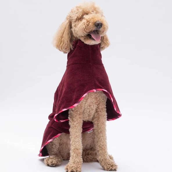 PawStar Bordo Bogota Bornoz - 3