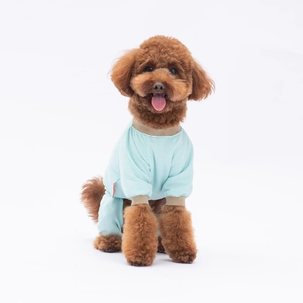 PawStar Lama & Dog Pijama Tulum