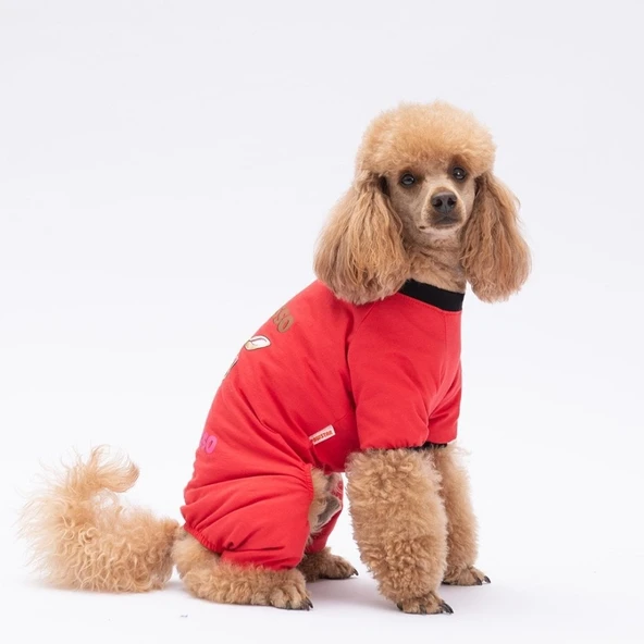 PawStar Depresso Pijama Tulum - 2