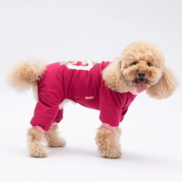 PawStar Go Teddy Bear Pijama Tulum - 3