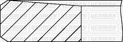 MOTOR SEGMANI 0.50 V184 PUMA DT24H DURATORQ 90/120PS