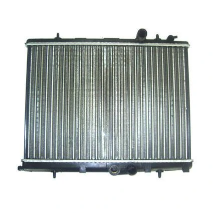 RADYATÖR MOTOR P206 ürün görseli 1