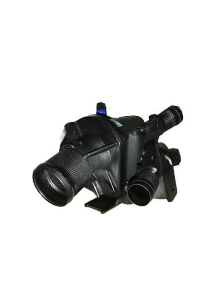 TERMOSTAT 89 C MASTER III 2.3 DCI