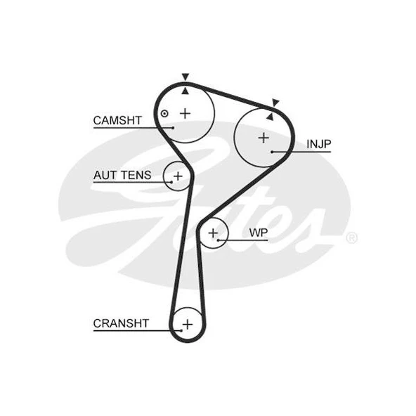 TRİGER KAYIŞI 123x270 123 DİŞ CLIO-KNG-MGN II 1.5 DCI 01 CT1035 13028BN700 ürün görseli 1