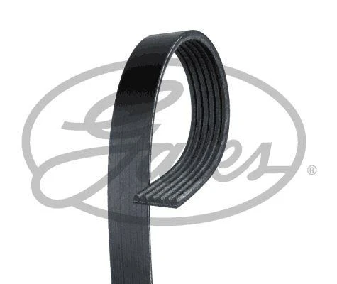KANALLI KAYIS MERCEDES W124 W202 W203 CL203 S212 W140 W166 W463 B901 B904