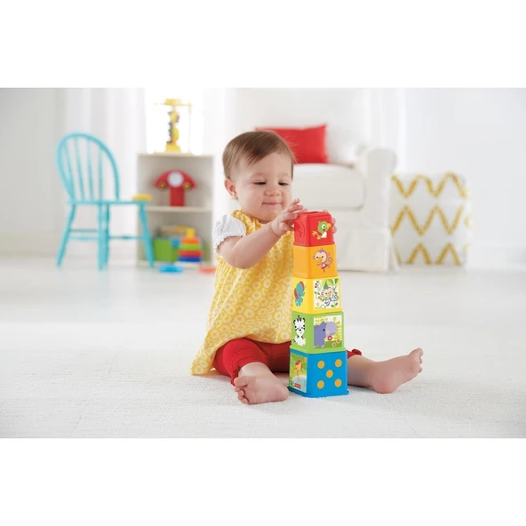 Fisher Price Eğlenceli Bloklar CDC52 - 2