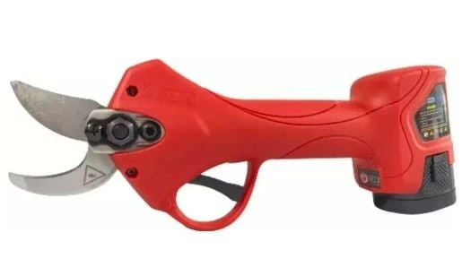 Eng Energy WS 025 Akülü Budama Makası 2.5cm