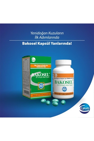 Bakosel Sığır Ve Koyunlar Için Tamamlayıcı Yem 50 Kapsül - 3