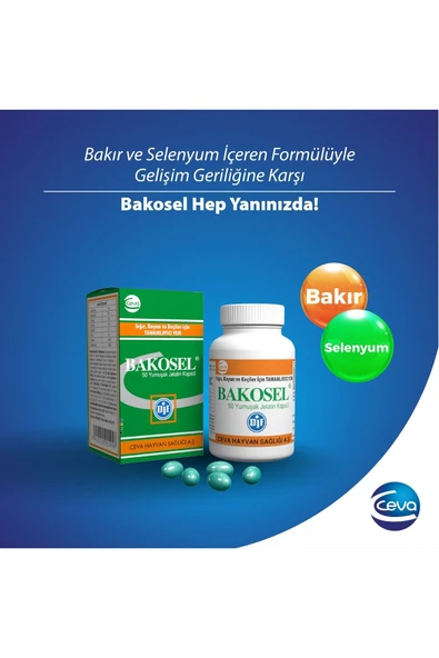 Bakosel Sığır Ve Koyunlar Için Tamamlayıcı Yem 50 Kapsül