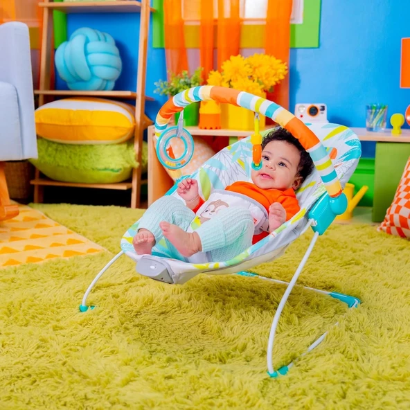 Bright Starts Yağmur Ormanı Titreşimli Ana Kucağı 0-6 Ay, 0-9 kg ya kadar - 2