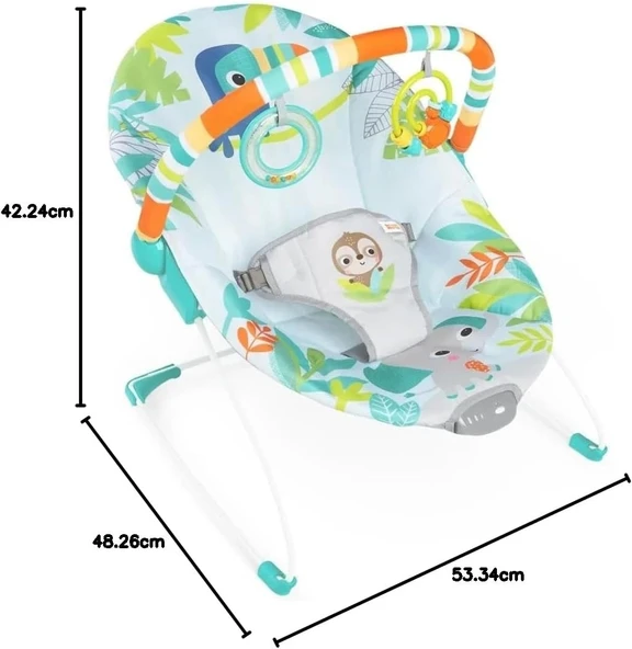 Bright Starts Yağmur Ormanı Titreşimli Ana Kucağı 0-6 Ay, 0-9 kg ya kadar - 4