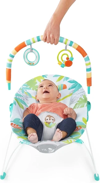 Bright Starts Yağmur Ormanı Titreşimli Ana Kucağı 0-6 Ay, 0-9 kg ya kadar - 5