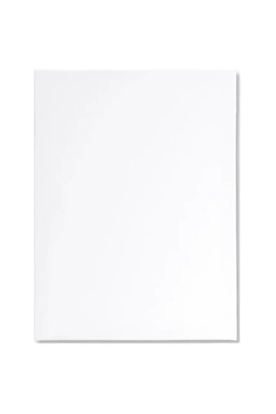 35x50 cm Tuval Arkadan Zımbalı Tuval Astarlı Tuval